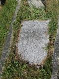 image of grave number 490847